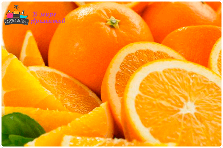 апельсины в разрезе